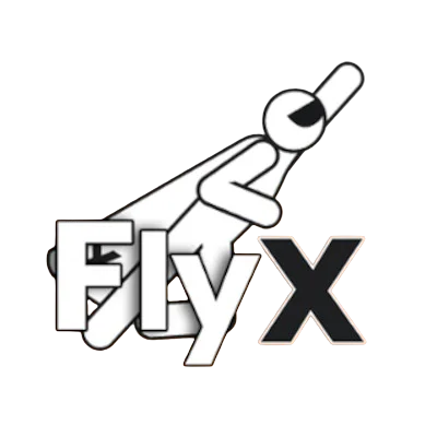 Fly X Game Review