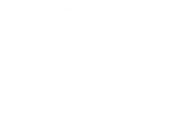 rolay-panda-casino-logo-transparent